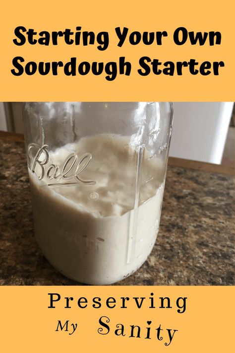 Sourdough English Muffins, Fermented Kimchi, Sourdough Bread Starter, Dough Starter, Homemade Sourdough Bread, Bread Starter, Sourdough Starter Recipe, Wild Yeast, Homemade Yogurt