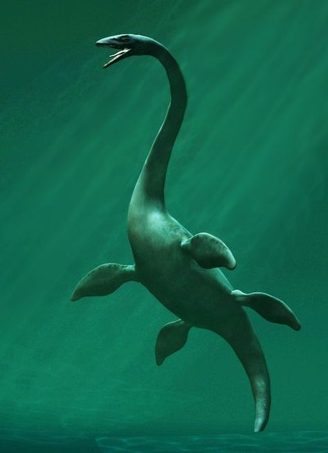 Water Dinosaurs, Big Tortoise, Tier Tattoo, Petit Tattoo, Prehistoric Wildlife, Dinosaur Pictures, Prehistoric World, Prehistoric Art, Loch Ness Monster