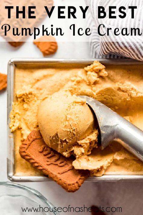 Homemade Pumpkin Ice Cream, Pumpkin Ice Cream Recipe, Pumpkin Spice Ice Cream, Pumpkin Spices, Ice Cream Recipes Machine, Pumpkin Pie Ice Cream, Ice Crea, Pumpkin Ice Cream, Ice Cream Maker Recipes