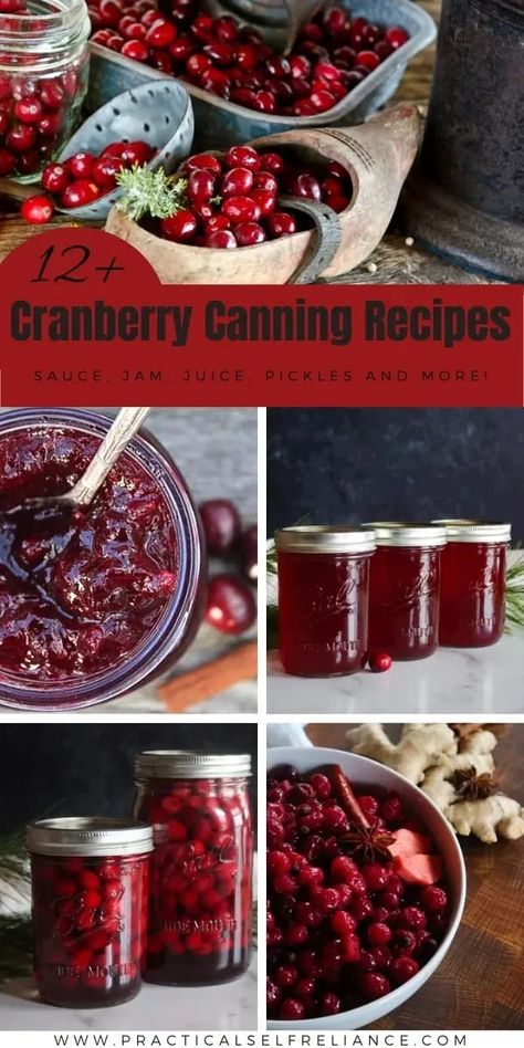 12+ Cranberry Canning Recipes - If you're looking for canning cranberry recipes, you'll love this collection of over 12 recipes for how to can cranberries. From canning cranberry sauce to canning cranberry juice recipes to canning whole cranberries! cranberry sauce for canning | canning fresh cranberries | fresh cranberry recipes for canning Canning Cranberry Orange Relish, Cranberry Chutney Canning Recipe, Canning Cranberry Recipes, How To Can Cranberries, Cranberry Orange Jam Canning, Things To Do With Fresh Cranberries, Cranberry Sauce To Can, Canning Cranberries Recipes, Cranberry Sauce Canning