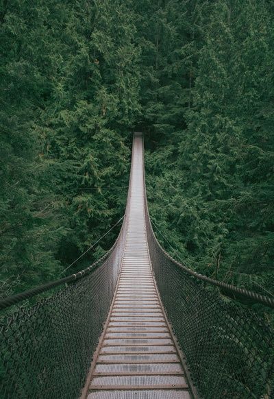 lynn canyon suspension bridge. Lynn Canyon Suspension Bridge, Lynn Canyon, Terra Nova, Wallpaper Tumblr, Suspension Bridge, British Columbia Canada, To Infinity And Beyond, Canada Travel, Pretty Places