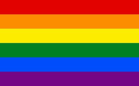 Rainbow Flag Lgbt, Stonewall Riots, Gay Flag, Gay Pride Flag, Rainbow Flag Pride, Lgbtq Flags, Lgbt Flag, Gay Marriage, Rainbow Flag