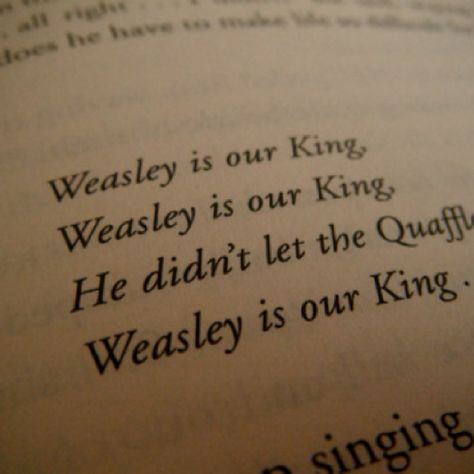 Weasley Is Our King, Ron Weasley Aesthetic, Teddy Lupin, Weasley Aesthetic, Weasley Harry Potter, Gryffindor Aesthetic, Ronald Weasley, Bellatrix Lestrange, Hogwarts Aesthetic