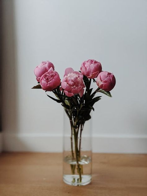 Flowers Minimalist, Flower Vase Design, Bloom Blossom, Pink Carnations, Carnation Flower, Flower Therapy, Clear Glass Vases, Minimalist Photography, Modern Flower