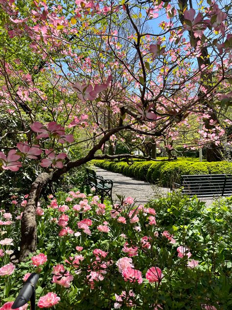 Spring time in NYC Header Flower, Spring In Nyc, Vintage Scenery, Spring Nyc, Summer In Nyc, Nyc Spring, Spring In New York, Gramercy Park, Washington Dc Travel