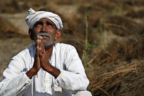 A farmer looks skyward as he sits amid his storm-damaged w Agriculture Photography, Agriculture Education, Weather News, Work Routine, Right To Choose, Village Life, Agriculture, Farmer, Rayban Wayfarer