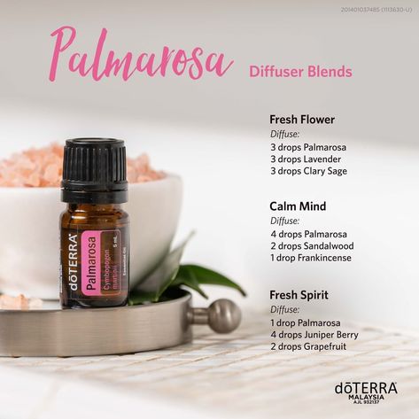 Relax Mind, Palmarosa Essential Oil, Essential Oil Distiller, Homemade Essential Oils, Doterra Essential Oils Recipes, Essential Oil Diffuser Blends Recipes, Essential Oil Diffuser Recipes, Essential Oil Blends Recipes, Frankincense Essential Oil