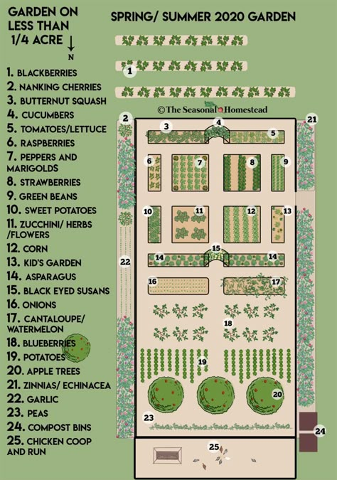 Garden Planning Layout, Backyard Garden Layout, Garden Layout Vegetable, Backyard Plan, Farm Layout, Homestead Gardens, Garden Plan, Garden Design Layout, Gardening Books