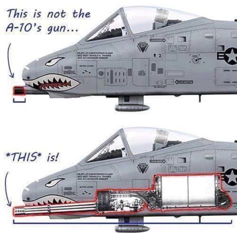 Wojskowy Humor, A10 Warthog, Military Jokes, A 10 Warthog, Aviation Humor, Us Military Aircraft, Military Memes, Army Humor, Airplane Fighter