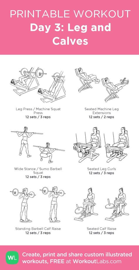 Inner Leg Workout, Workoutlabs Fit, Leg Workouts Gym, Workout Labs, Workout Fat Burning, Fitness Studio Training, Workout Gym Routine, Ab Workout Plan, Printable Workout