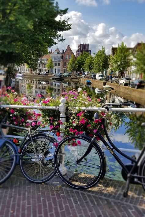 Bridge in Leiden, Netherlands Things To Do In Netherlands, Summer In Netherlands, Amsterdam Netherlands Aesthetic, Netherland Aesthetic, Pretty Things Aesthetic, Mood Board Pics, France In Spring, Europe Places To Visit, Amsterdam In Spring