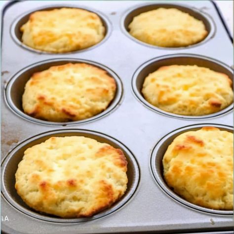 Buiscits Recipes Low Carb, Biscuits In A Muffin Tin, Low Carb Biscuit Recipe, Low Carb Biscuits In Muffin Tin, Low Carb English Muffin Recipe, Carb Quick Biscuits, Biscuit Muffin Tin Recipes, Keto Biscuits Easy, Carnivore Muffins