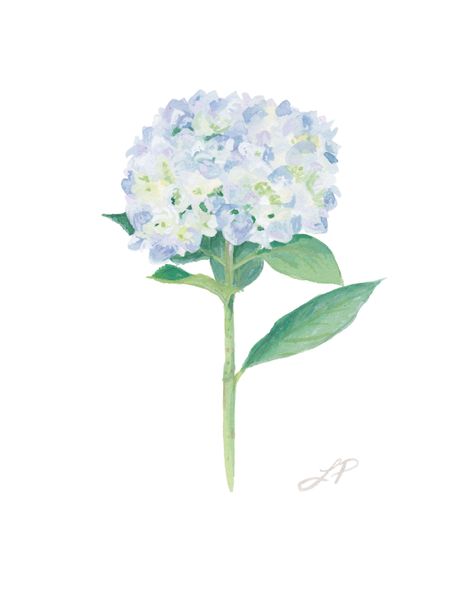 Hydrangea Poster, Blue Wall Prints, White Wall Prints, Hydrangea Watercolor, Water Color Floral, Watercolor Hydrangea, Hydrangea Painting, Hydrangea Print, Bedroom Wall Collage