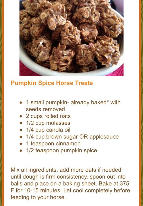 Pumpkin Spice Horse Treats Pumpkin Horse Treats, Horse Recipes, Horse Snacks, Farm Organization, Horse Cookies Recipes, Halo Ideas, Homemade Horse Treats, Animal Treats, Pet Remedies