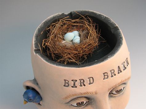 the brains inside "Bird Brain" Brain Sculpture, Body Extension, Ceramic Lessons, Face Pots, Garden Ceramics, Art Puns, Pretty Ugly, Visual Puns, Sculpture Lessons