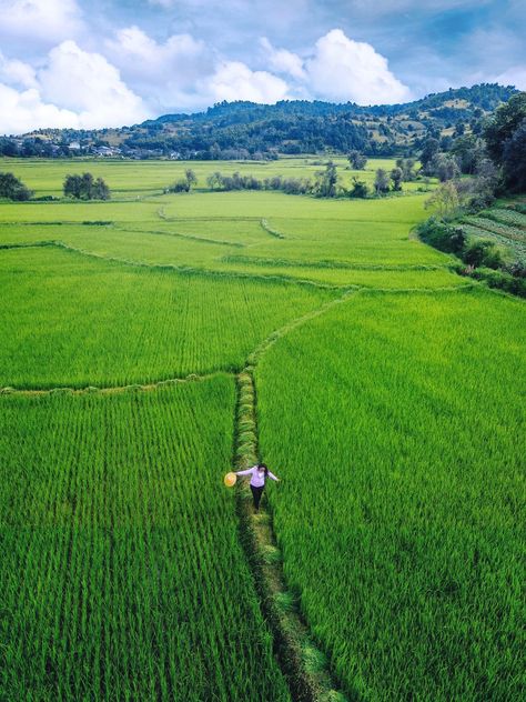 Kalaw, Myanmar 9 mountains trekking Kalaw Myanmar, Kalaw, Myanmar, Trekking, Travel Photography, Photography, Travel