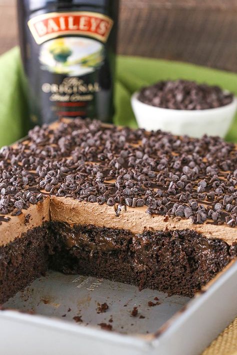 Boozy Chocolate, Chocolate Baileys, Baileys Recipes, Chocolate Poke Cake, Fest Mad, Amazing Chocolate Cake Recipe, Chocolate Cake Recipe Easy, Cake Christmas, Boozy Desserts