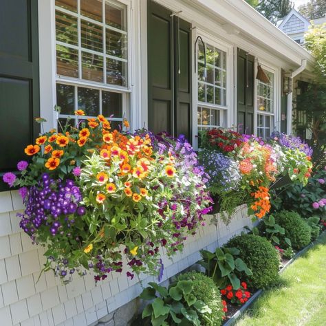 Small Flower Garden Ideas, Small Flower Garden, Small Flower Gardens, Flower Garden Ideas, Trailing Flowers, Wall Mounted Planters, Climbing Flowers, Benefits Of Gardening, Different Types Of Flowers