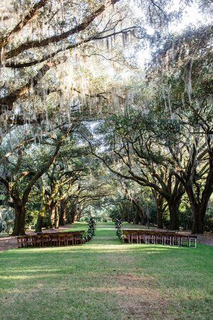 Louisiana Wedding Venues Outdoor, Mossy Oak Tree Wedding, Low Country Wedding Ideas, Louisiana Outdoor Wedding, Timeless Wedding Outdoor, Wedding Oak Tree, Southern Charm Wedding Decorations, Old Southern Wedding Theme, Willow Tree Wedding Decorations