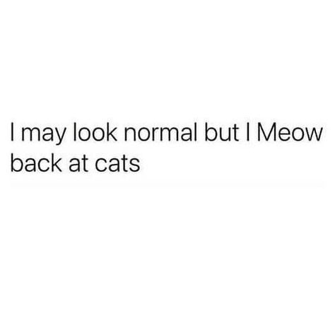 I May Look Normal But Quotes, Random Captions, Bio Captions, Citrus Logo, Funny Bio Quotes, Funny Bio, Funny Compliments, Cat Parents, Funny Captions