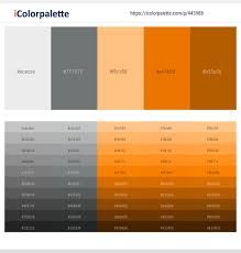 26 Latest Color Schemes with Slate Gray And Dark Orange Color tone combinations | 2021 | iColorpalette Grey Orange Color Palette, Dark Grey Color Combinations, Hobo Room, Colours That Go With Grey, Dark Orange Color, Orange Color Schemes, Orange Tone, Orange Color Palettes, Shade Card