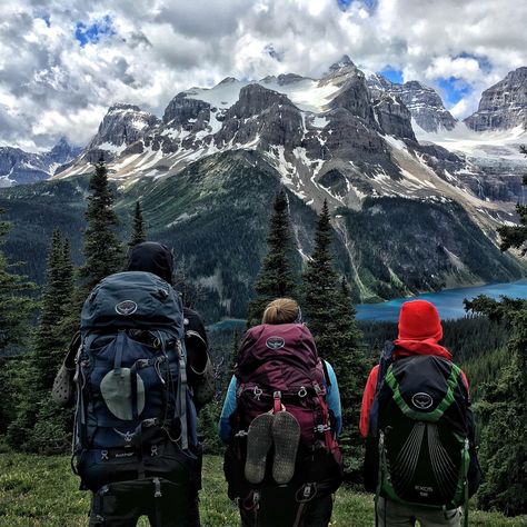 Family Camping Photography, Supraviețuire Camping, Suitcase Vintage, Best Hiking Backpacks, Hiking Photography, Camping Photography, Vintage Suitcase, Vintage Camping, Adventure Photography