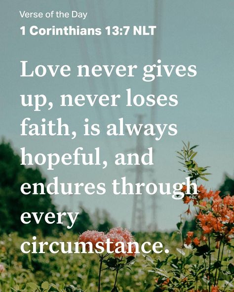 Lately! LIFE, LOVE AND FAMILY OVER EVERYTHING‼️ Family Over Everything, Love And Family, 1 Corinthians 13, Losing Faith, Verse Of The Day, Giving Up, Never Give Up, Quick Saves