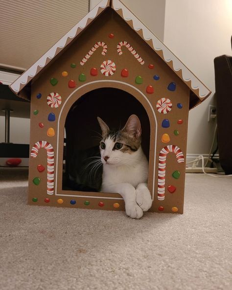 Gingerbread Cat House, Gingerbread Cat, Ferret Stuff, Xmas Cat, Diy Pet Toys, Diy Cat Tree, Cat Houses, Christmas Homemade, Xmas 2024