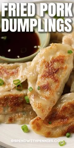 This homemade Pork Dumpling recipe is so easy to make. Pork filling wrapped in a dumpling and fried until golden brown, then served with soy sauce or sweet & sour! #spendwithpennies #porkdumplings #appetizer #recipe #homemade #easy Dumplings Recipe Fried, Pan Fried Pork Dumplings Recipe, Pan Fry Dumplings, Chinese Dumplings Recipe Homemade Easy, Chinese Fried Dumplings Recipe, How To Make Fried Dumplings, Pork Pot Stickers Recipe, Making Dumplings Easy Recipes, Dumplings Recipe Pork