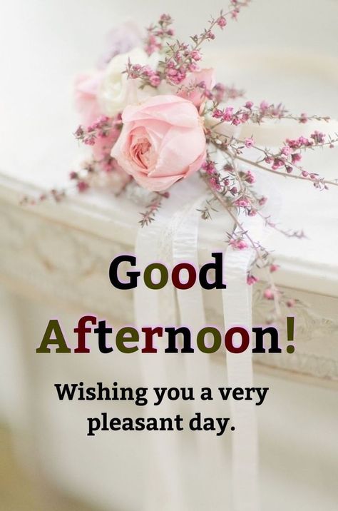 Afternoon Messages, Selamat Sore, Good Afternoon Quotes, Sunday Images, Good Evening Greetings, Afternoon Quotes, Evening Greetings, Good Morning Flowers Quotes, Happy Good Morning Quotes