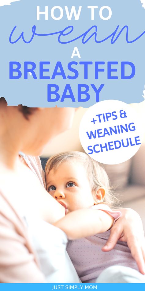 Weaning Breastfeeding, Baby Led Weaning First Foods, Stopping Breastfeeding, Crunchy Moms, Organic Baby Food, Baby Weaning, Breastfed Baby, Natural Parenting, Breastfeeding And Pumping