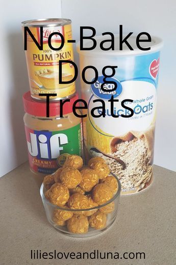 Busy Bowls For Dogs, Cooked Dog Food Recipes For Beginners, Quick And Easy Dog Treats, Puppy Treats Homemade Healthy, Doggie Treats Recipe, Diy Pet Treats, Puppy Treats Homemade Easy, Applesauce Dog Treats Homemade, Easy Dog Treats Recipes