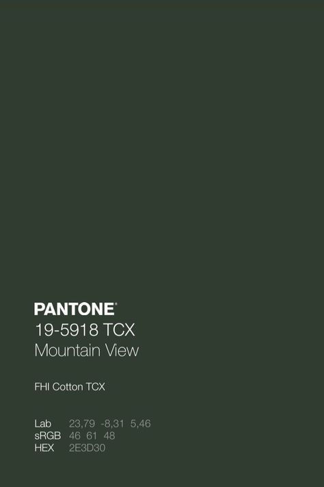 Free Adobe Illustrator, Pantone Color Chart, Pantone Palette, Pantone Colour Palettes, Color Design Inspiration, Dark Green Aesthetic, Pantone Colors, Rays Of The Sun, Late Autumn