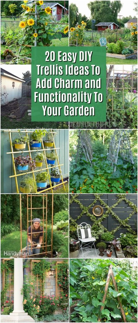 Garden Diy Decoration Ideas, Diy Trellis Ideas, Vertical Container Gardening, Building A Trellis, Flower Trellis, Diy Garden Trellis, Trellis Ideas, Outdoor Trellis, Diy Trellis