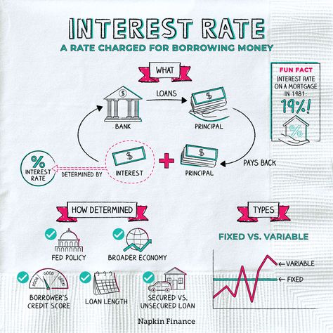 What's an Interest Rate? Napkin Finance Answers All Your Questions! Economics Notes, Financial Literacy Lessons, Accounting Basics, Economics Lessons, Loan Money, Personal Finance Tips, Financial Organization, Math Notes, Wealthy Women