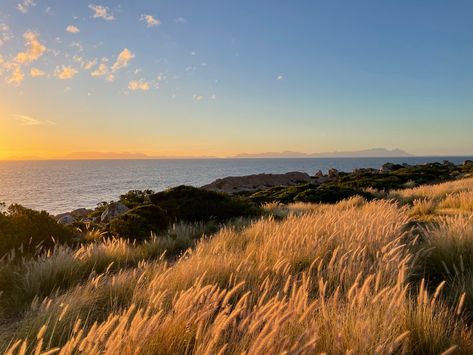 Open Field Aesthetic Sunset, Lanscape Photoshoot Nature Aesthetic, Golden Field Aesthetic, Field Photography Landscape, Lanscape Photoshoot Aesthetic Wallpaper, Golden Summer Aesthetic, Gold Nature Aesthetic, Lanscape Photoshoot Aesthetic, Calm Nature Aesthetic