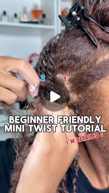 Mini Twists Natural Hair Tutorials, Natural Twist Hairstyles Short, Two Strand Twist Tutorial, Long Mini Twists, Mini Twist Tutorial, Low Porosity Hair Care, Mini Twists Natural Hair, Lifestyle Creator, Low Porosity Natural Hair