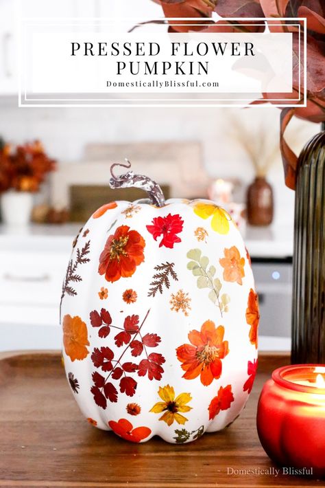 DIY Pressed Flower Pumpkin - Domestically Blissful Dry Flower Pumpkin, Pumpkins Painting, Domestically Blissful, Flower Pumpkin, Diy Pumpkins, Creative Pumpkin Painting, Painting Pumpkins, Fall Pumpkin Crafts, Pumpkin Contest