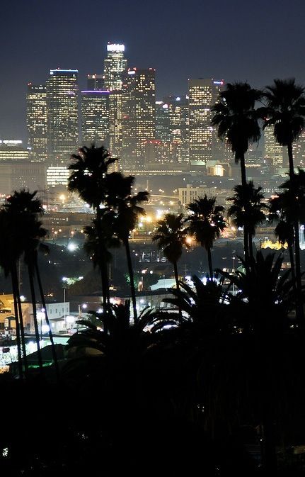 Downtown L.A. Los Angeles Wallpaper, Los Angeles Aesthetic, Peisaj Urban, Dark Paradise, City Vibe, Night Vibes, City Of Angels, California Photography, City Wallpaper