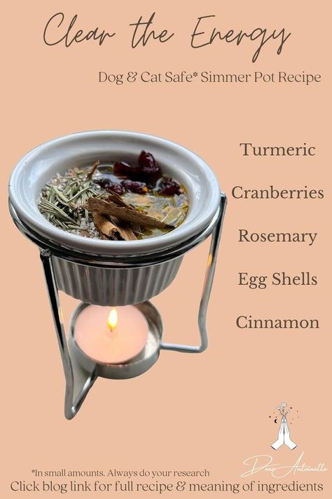 simmer pot recipe Potpourri Recipe, Simmer Pot Recipes, Kitchen Witch Recipes, Simmer Pot, Magia Das Ervas, Wiccan Magic, Witch Spirituality, Magic Herbs, Kitchen Witchery