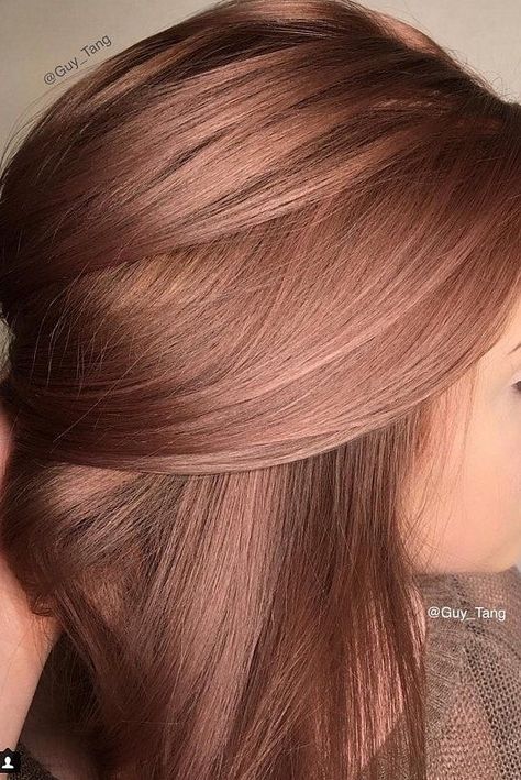 Rose Brown Hair, Rose Gold Hair Brunette, Hair Color Pictures, Rambut Brunette, Gold Hair Colors, Hair Color Rose Gold, Vlasové Trendy, Haircut Styles, Pretty Hair Color