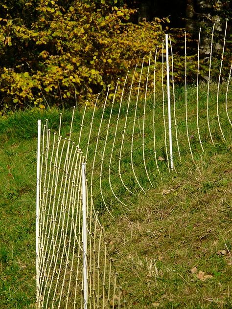 Sheep Fencing Guide (sheep fence options, ideas & cost estimates) Solar Electric Fence, Sheep Fence, Welded Wire Fence, Post Hole Digger, Fence Options, Cedar Posts, Electric Sheep, Mesh Fencing, Types Of Fences