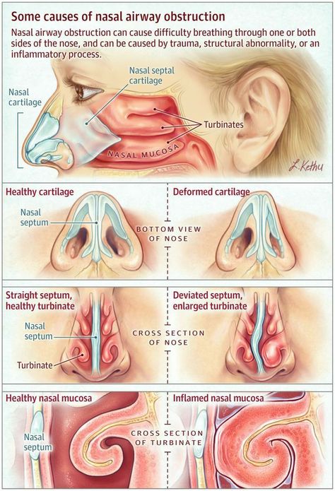 Basic Anatomy And Physiology, Biology Facts, Medical Student Study, Human Body Anatomy, Medicine Student, Medical School Motivation, Medical School Inspiration, Medical Facts, Medical School Studying