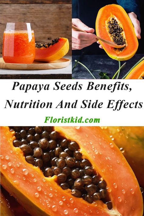 The papaya (Carica Papaya) is a good example of a plant with beneficial properties that can be used as a natural medicine. Papaya seeds are full of healthy nutrients and are sometimes used in products like flour and tea to make them healthier. There is not much scientific research about the benefits of papaya seeds. The evidence that does exist is often from personal stories or studies performed on animals.🌱🌻To learn more about this topic, read this article on our website.☘️🌹 How To Eat Papaya Seeds, Papaya Seed Recipes, Papaya Seeds Benefits, Papaya Health Benefits, Health Benefits Of Papaya, Seed Benefits, Papaya Benefits, Papaya Smoothie, Healthy Juicer Recipes