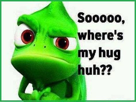 (((AIR HUGS))) Snuggles Quotes, Hug Meme, Cheeky Quotes, Hugs And Kisses Quotes, Emoticons Emojis, Need A Hug, The Social Network, Funny Picture Quotes, Best Love Quotes