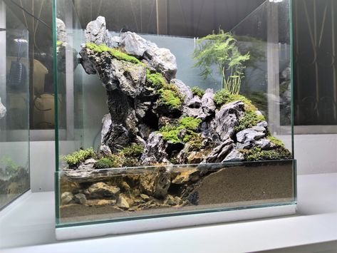 check out how this paludarium been made on youtube   #paludarium #aquaterrarium #terrarium #waterfall #aquatic #seiryu #seiryu stone aquascape #bonsai #river #aquarium design #paludarium waterfall #paludarium waterfall aquascaping #aquascaping Paludarium Waterfall Aquascaping, Waterfall Paludarium, Paludarium Waterfall, Terrarium Waterfall, Stone Aquascape, River Aquarium, Aquascape Bonsai, Paludarium Ideas, Tree Frog Terrarium