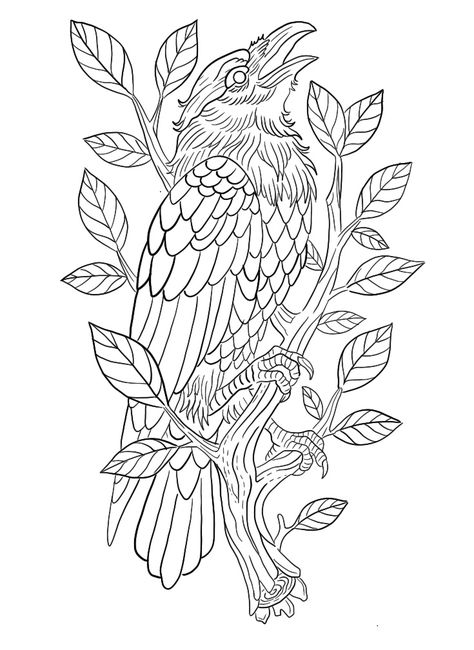 Raven Tattoo Drawing, Raven Tattoo Traditional, Raven Tattoo Stencil, Nature Sleeves, Crow Outline, Traditional Crow Tattoo, Crow Tattoos, Traditional Tattoo Woman, Sketch Tattoos