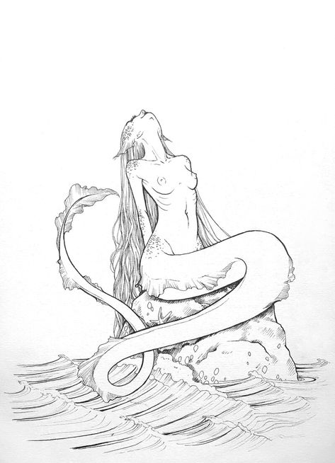 ArtStation - Siren Song, Katerina Dohnalova Siren Coloring Page, Fantasy Drawings Mythical Creatures, Siren Drawing Reference, Siren Drawing Sketches, Magic Art Drawing, Siren Sketch, Sirens Art, Siren Illustration, Mermaids Drawing