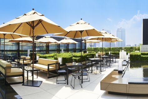 Looking for a terrace café or a rooftop bar? Tokyo has plenty of options for open-air dining – these are our top 20 picks Open Terrace Cafe Design, Open Air Cafe, Terrace Cafe, Outdoor Restaurant Patio, Restaurant Exterior Design, Rooftop Restaurant Design, Open Air Restaurant, Rooftop Dining, Terrace Restaurant