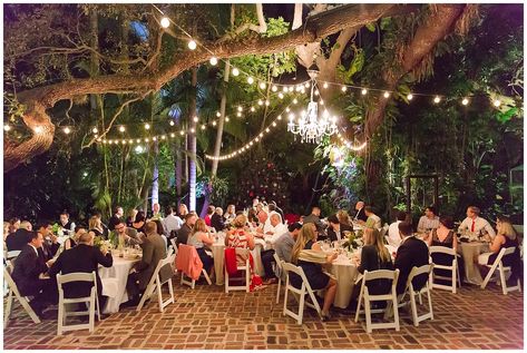 Morgan & Dereck: A Sunken Gardens Wedding in St. Petersburg, Florida - The Ganeys | Fine Art Film Wedding Photographers Sunken Gardens Wedding, Florida Wedding Reception, Sunken Gardens, St Pete Wedding, Garden Weddings Ceremony, Sunken Garden, Florida Wedding Venues, Wedding Reception Locations, St Petersburg Florida